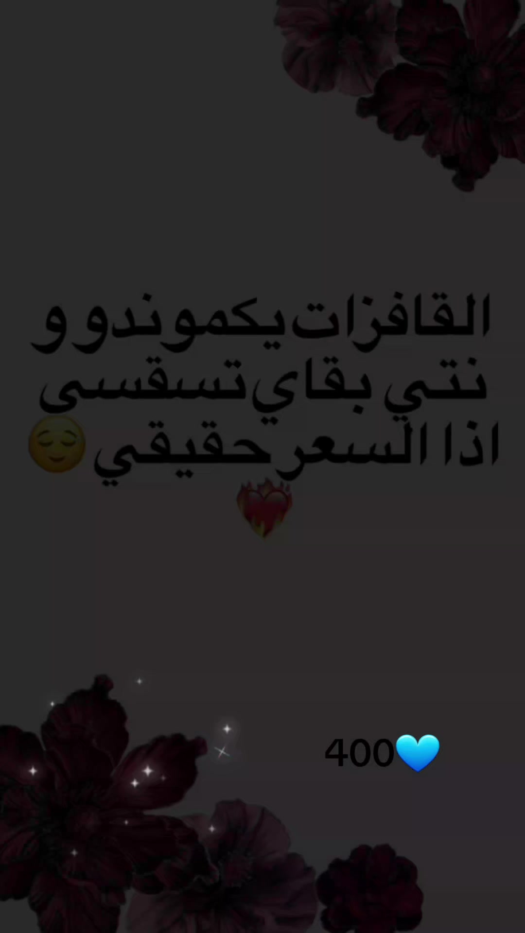 @Nour-collection