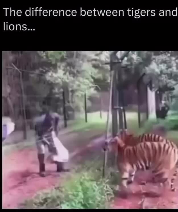 @jsmile101