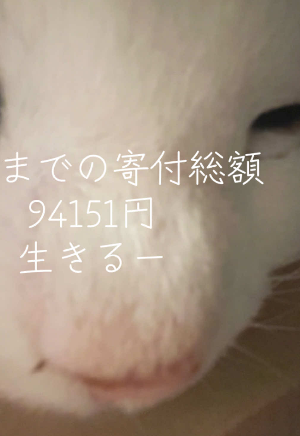 @マサマネ UNOFFICIAL - 非公式ものまね芸人