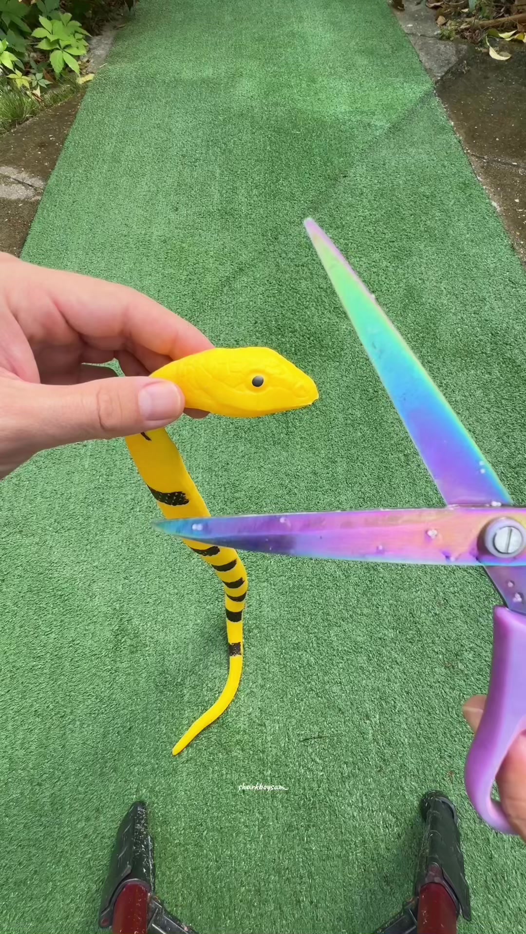 @SHARK ASMR 🦈