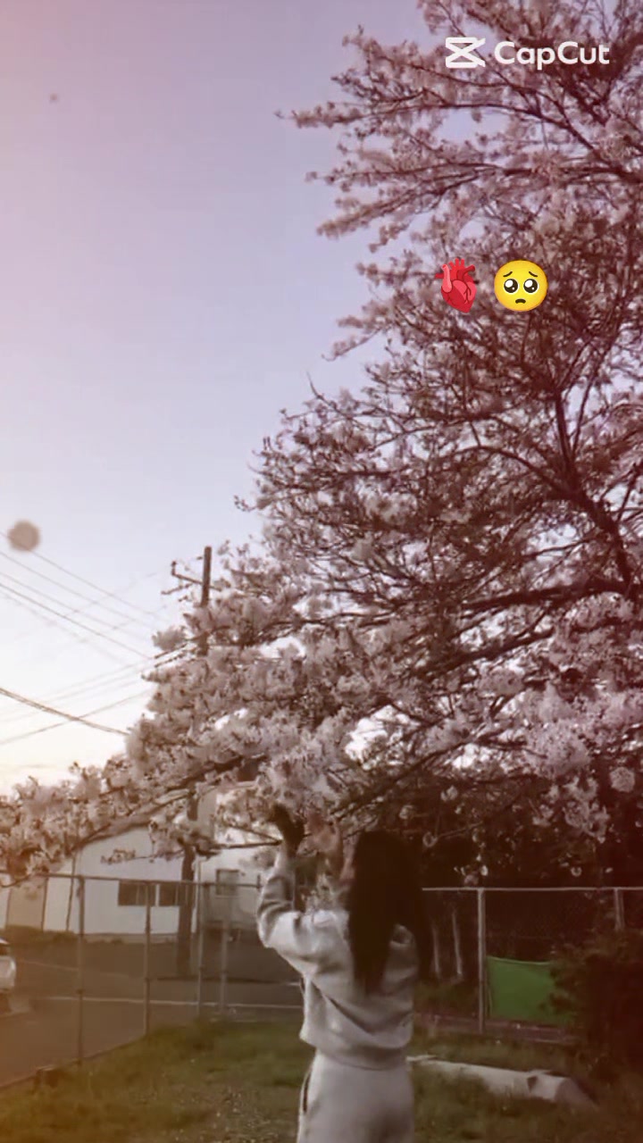 @🎀
