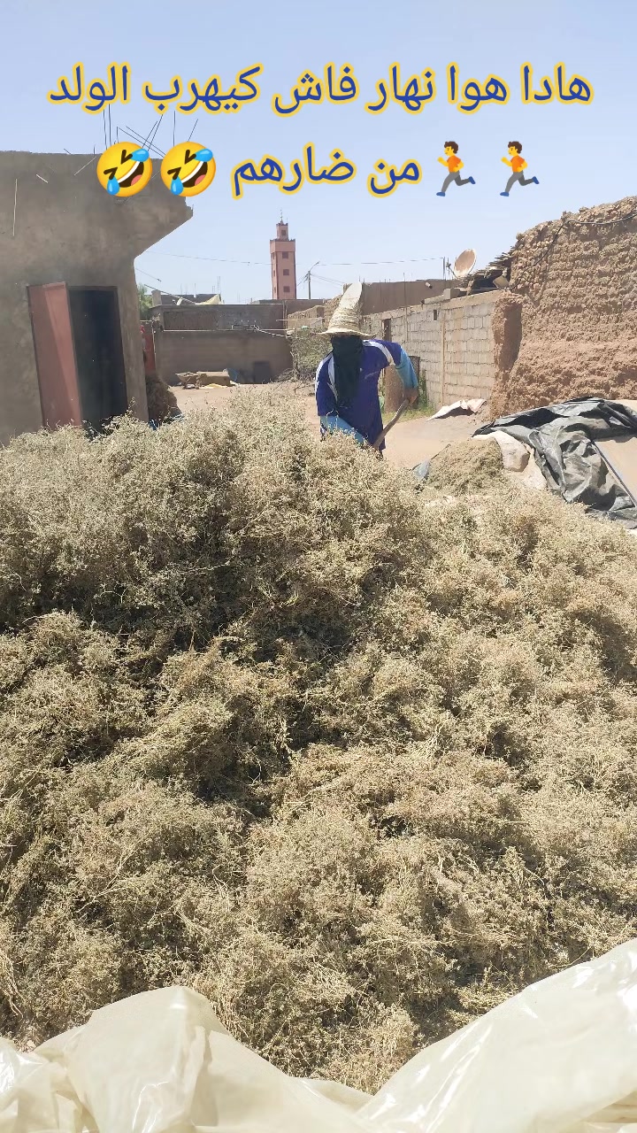 @chak chabani 🇮🇹⚓💰شكشباني