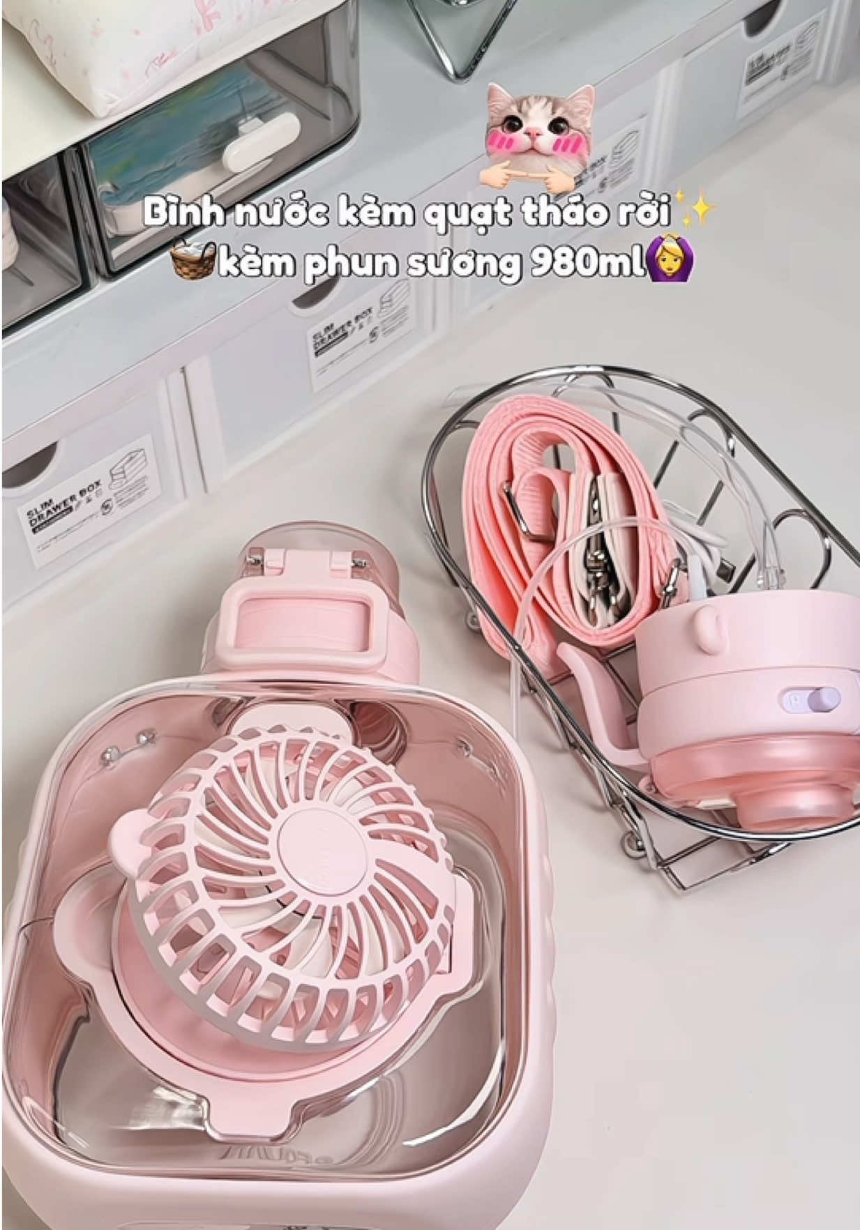 @qwii🎀