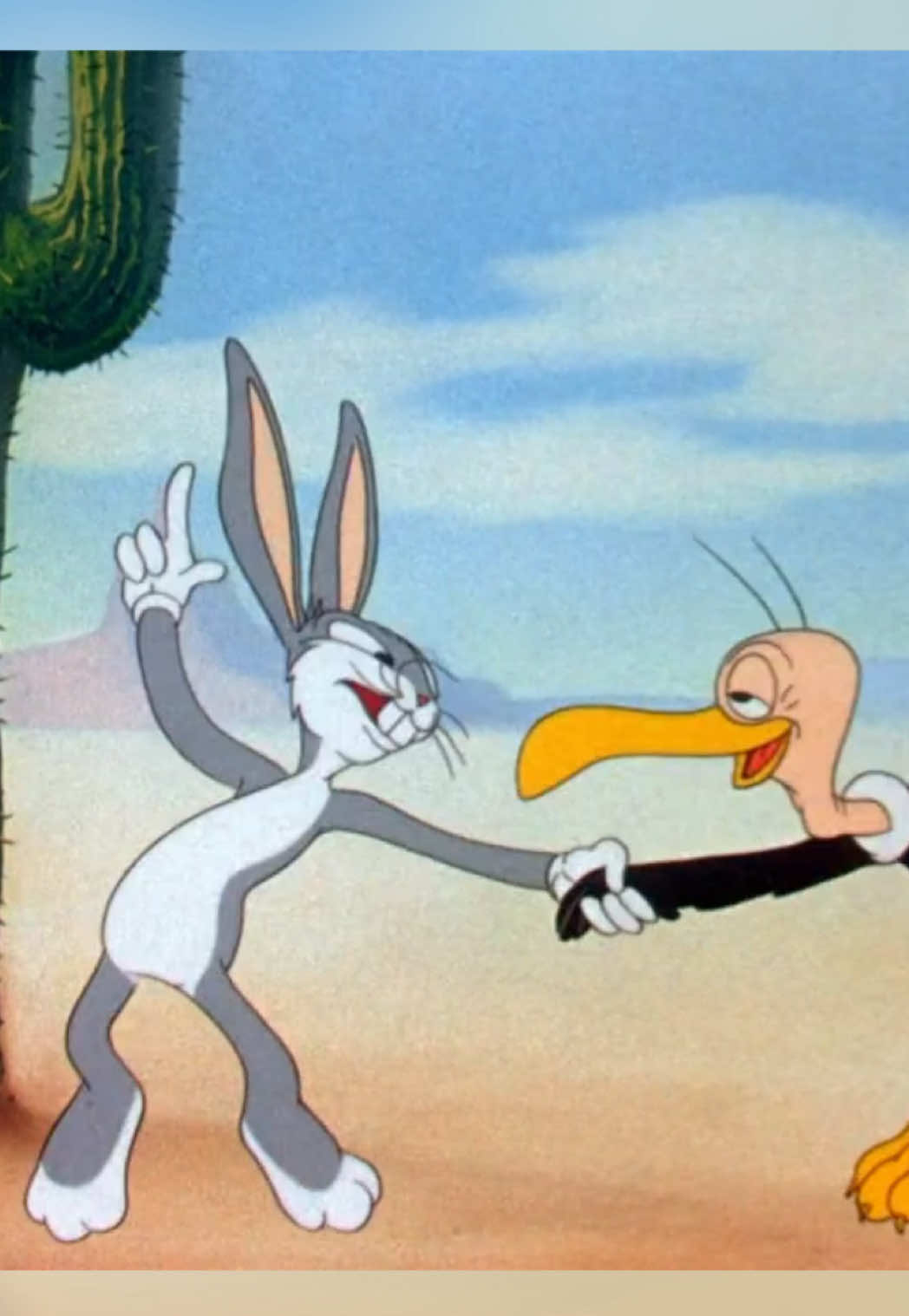 @Looney Tunes