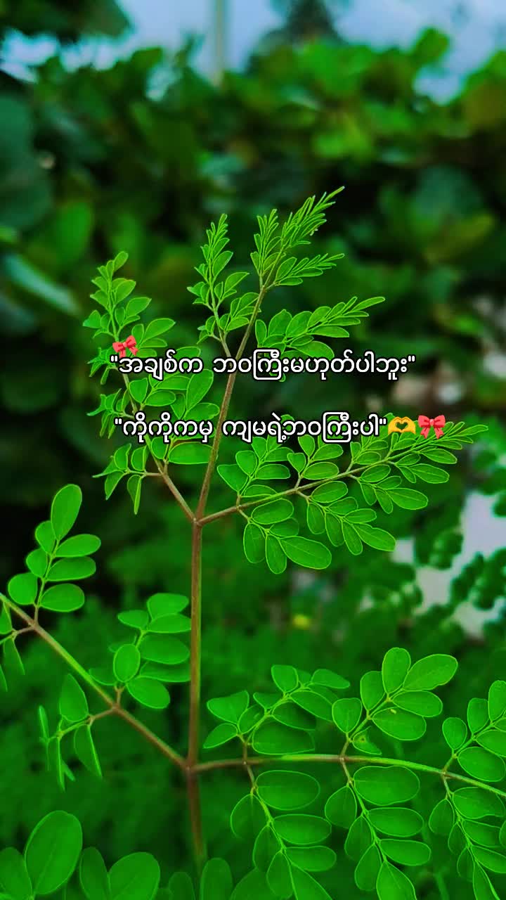@๐ฅ๐ต๐๐๐ฆ๐ฅ๐ฟ๐๐ฆ๐ฅ(official)