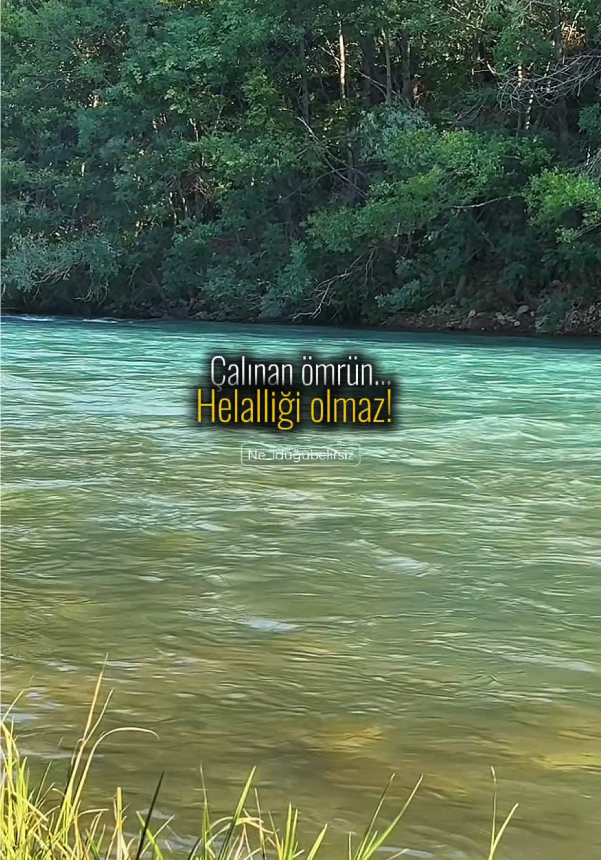 @ne_idugubelirsiz