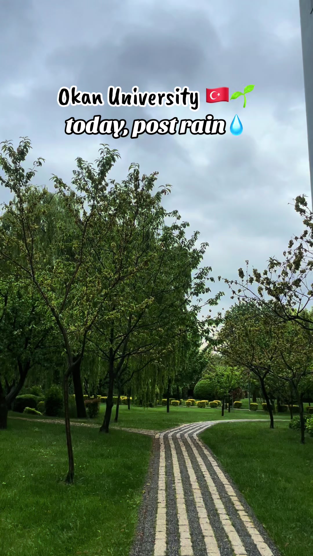 @Türkiye Diaries