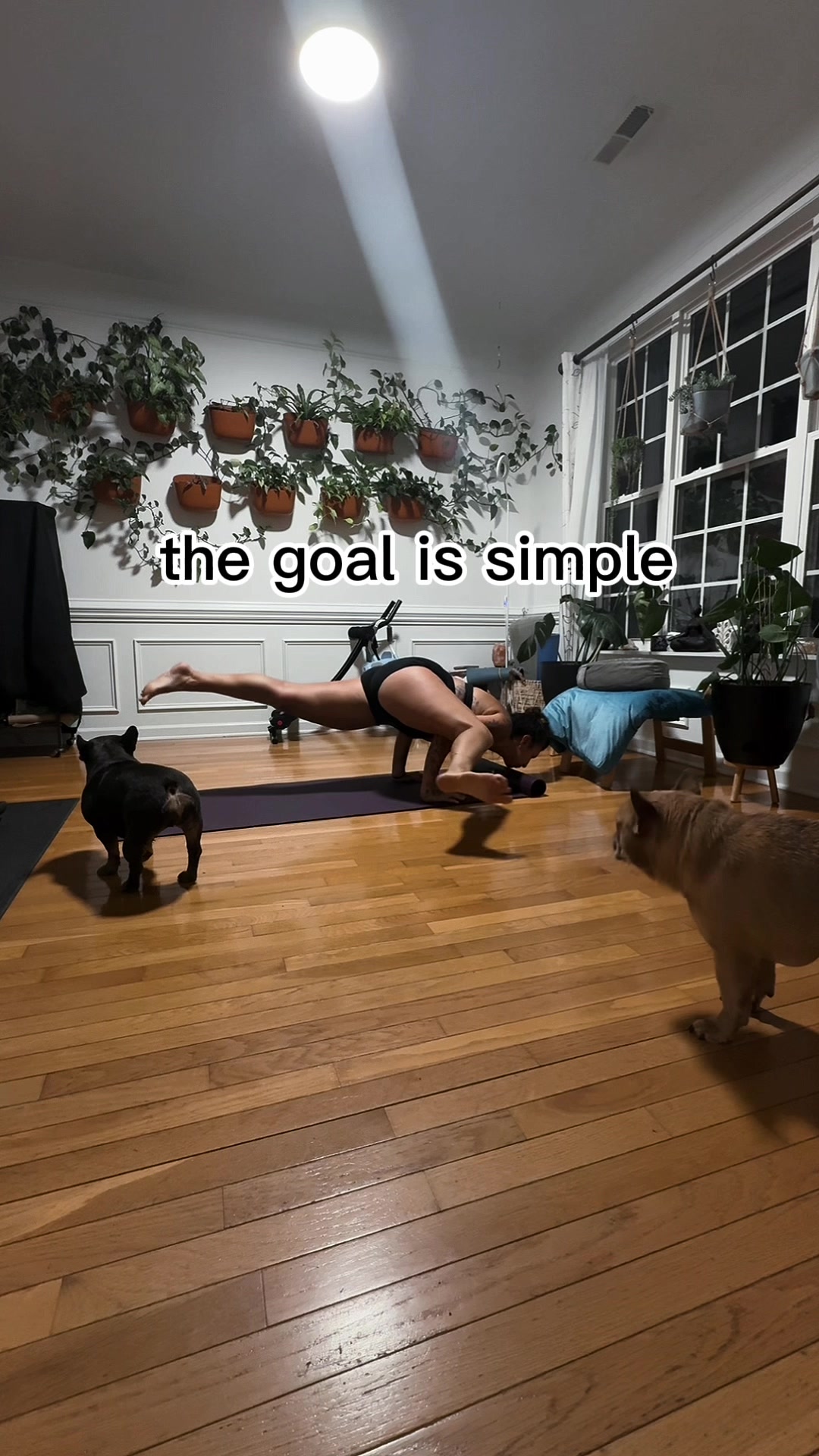 @Lotus Moon Yoga