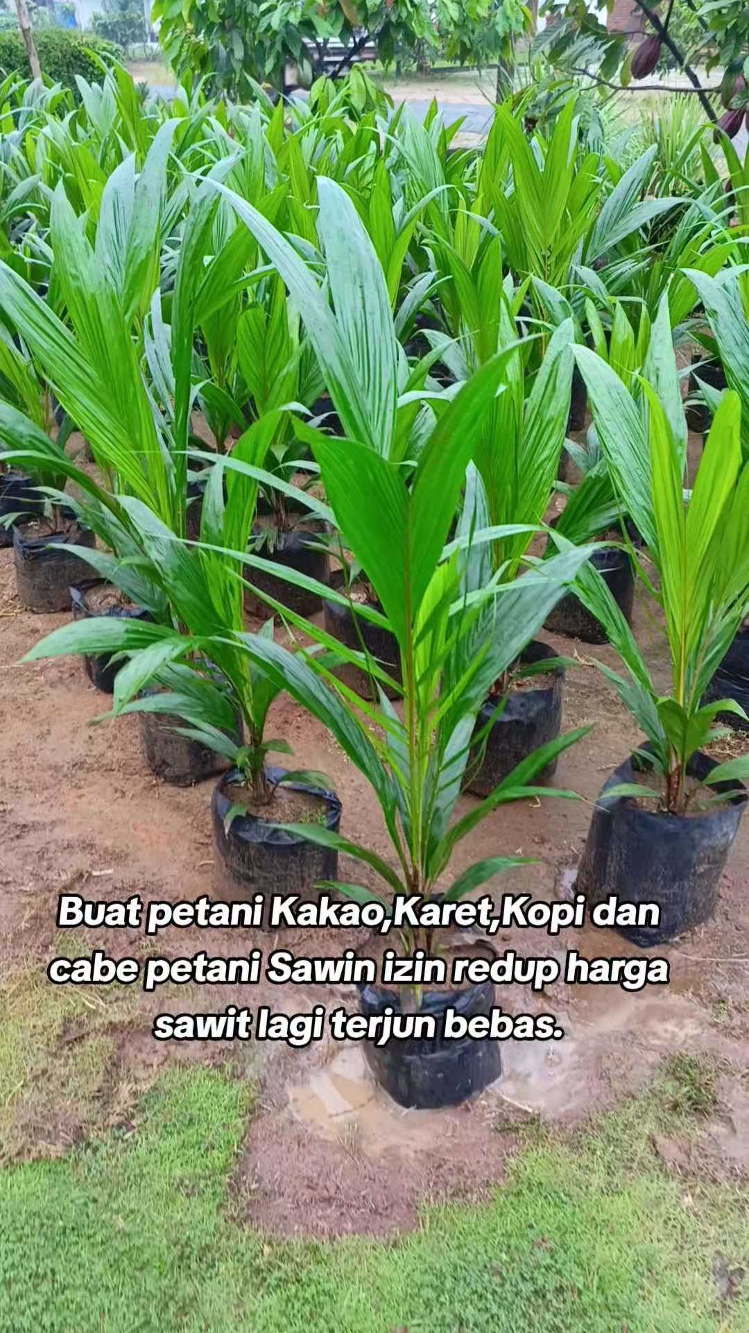 @INISIAL W