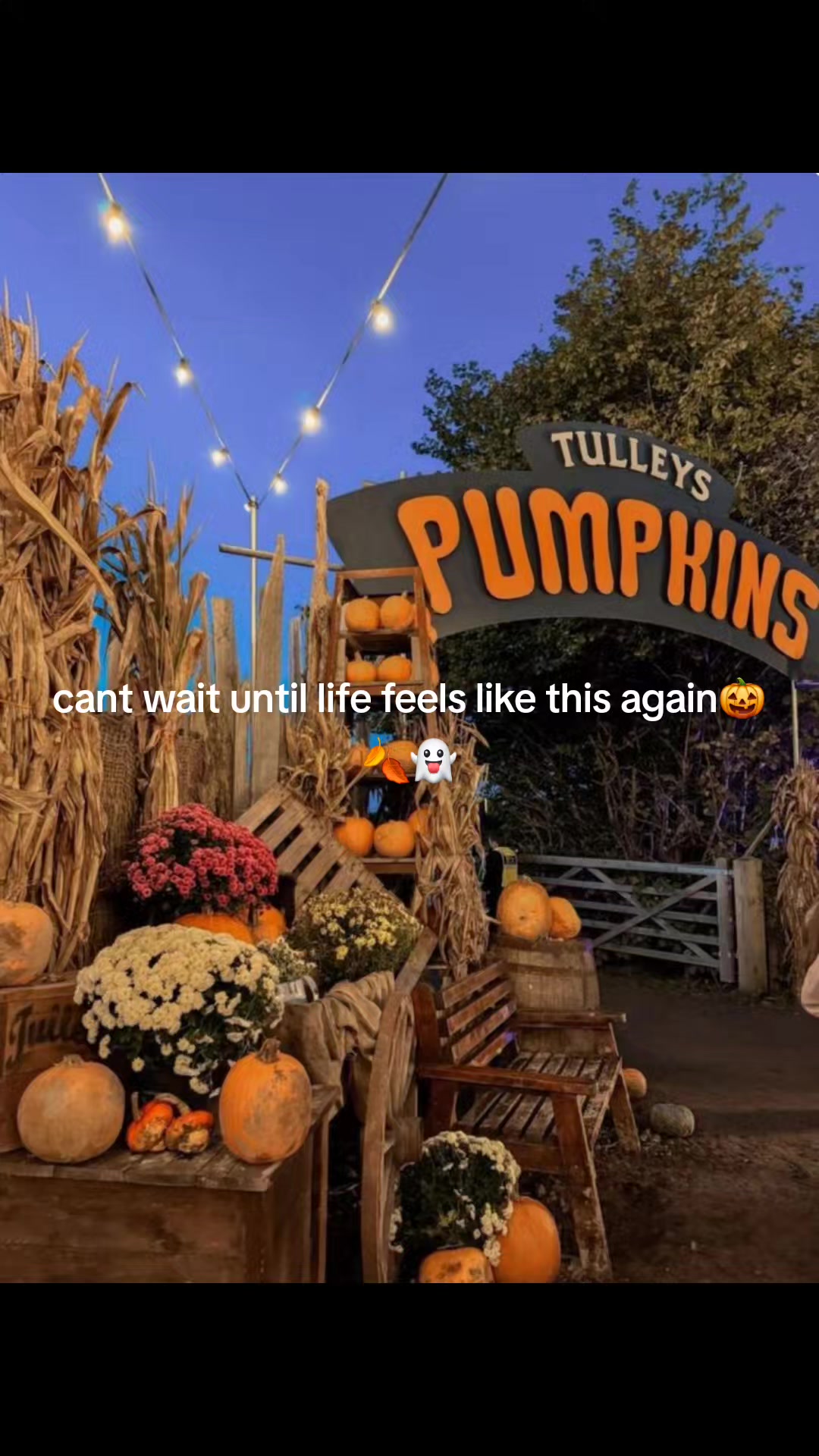 @FrightToFestive