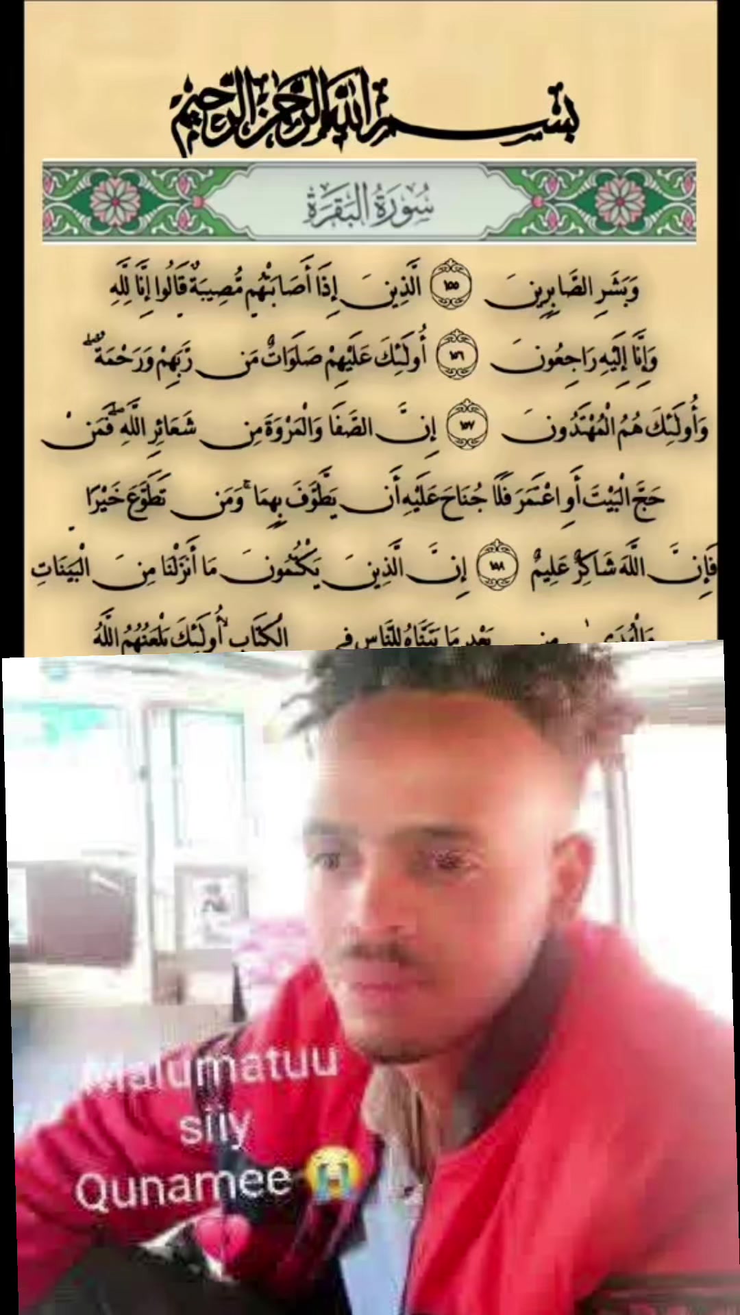 @UMMUU QERROo🐅👈