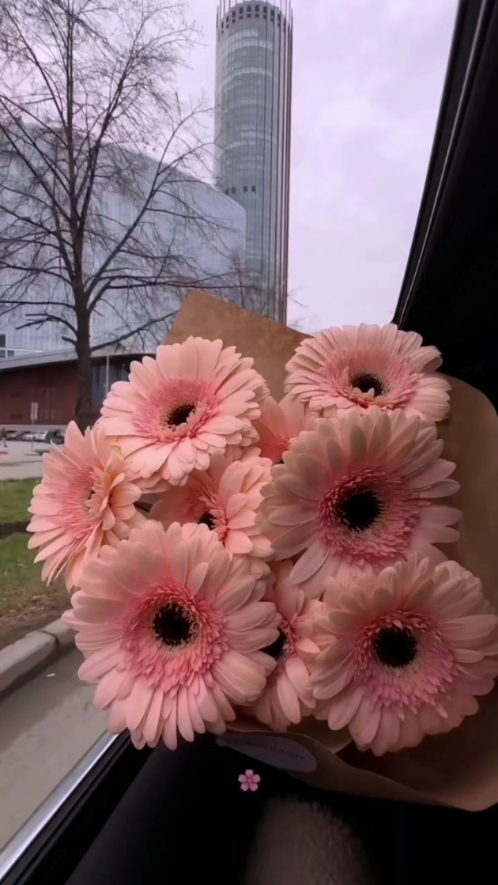 @꒰ঌ🌸໒꒱