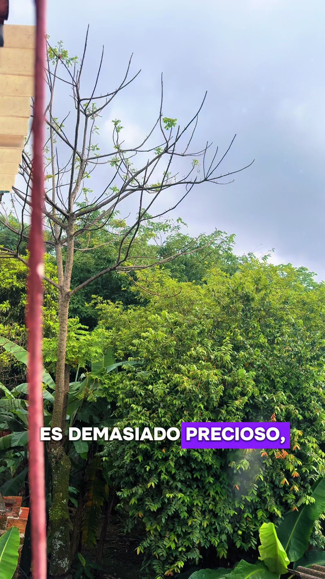 @LORDxESCANOR