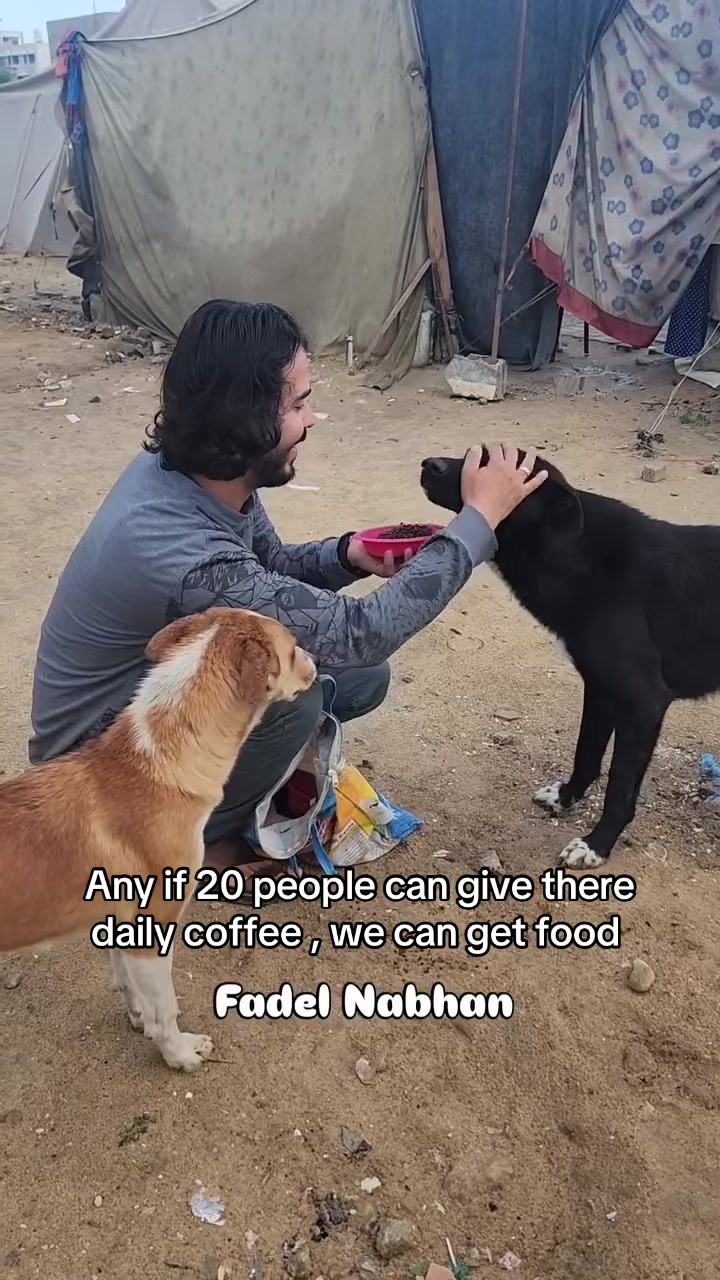 @Gaza Animal Rescue