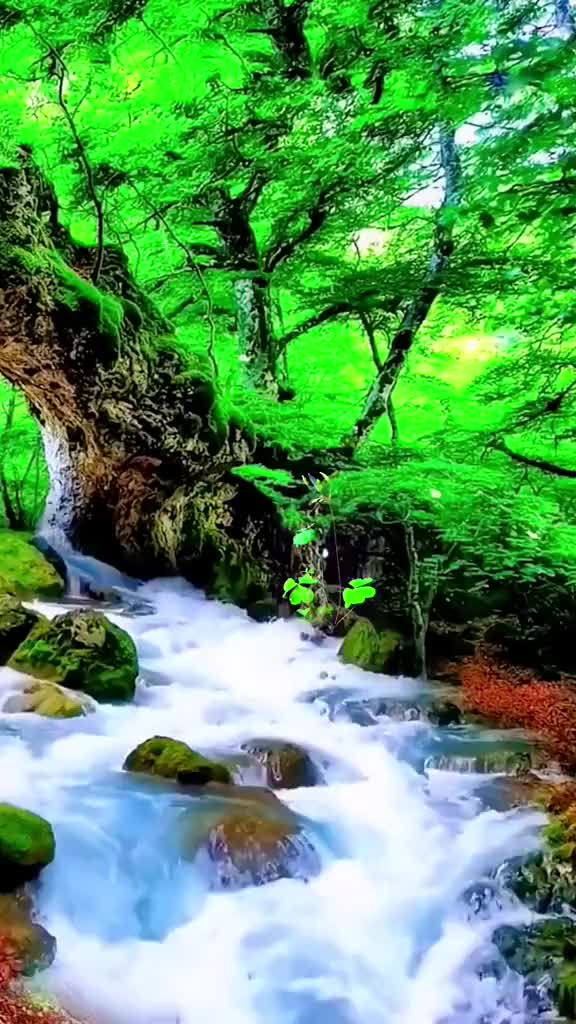 @𝐁𝐈𝐒𝐇𝐍𝐔 𝐃𝐄𝐕