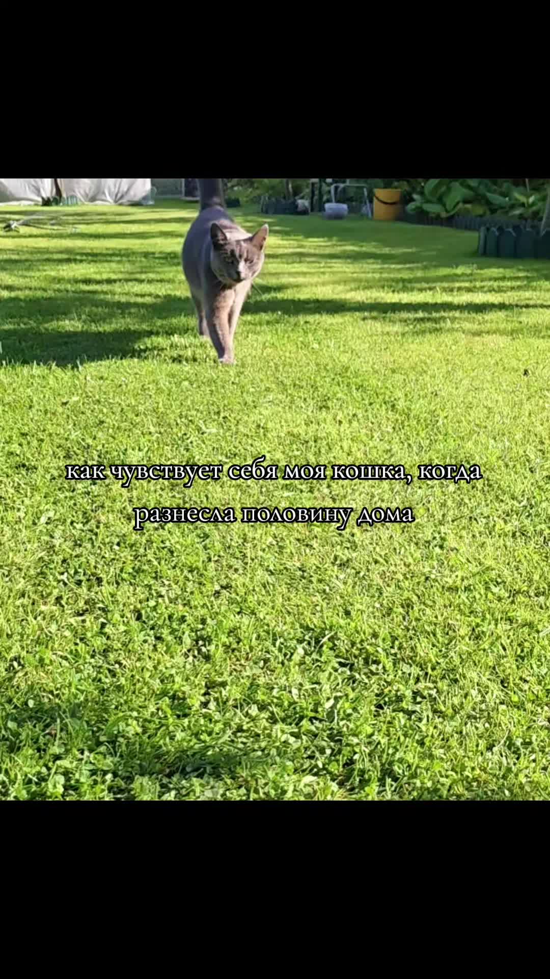 @арсеньева