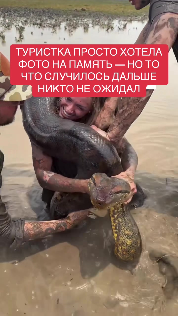 @shoblinskis