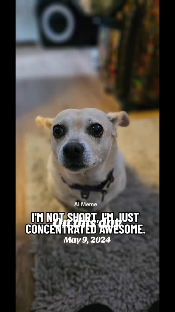 @Max and Company 🐕💚🐕💚