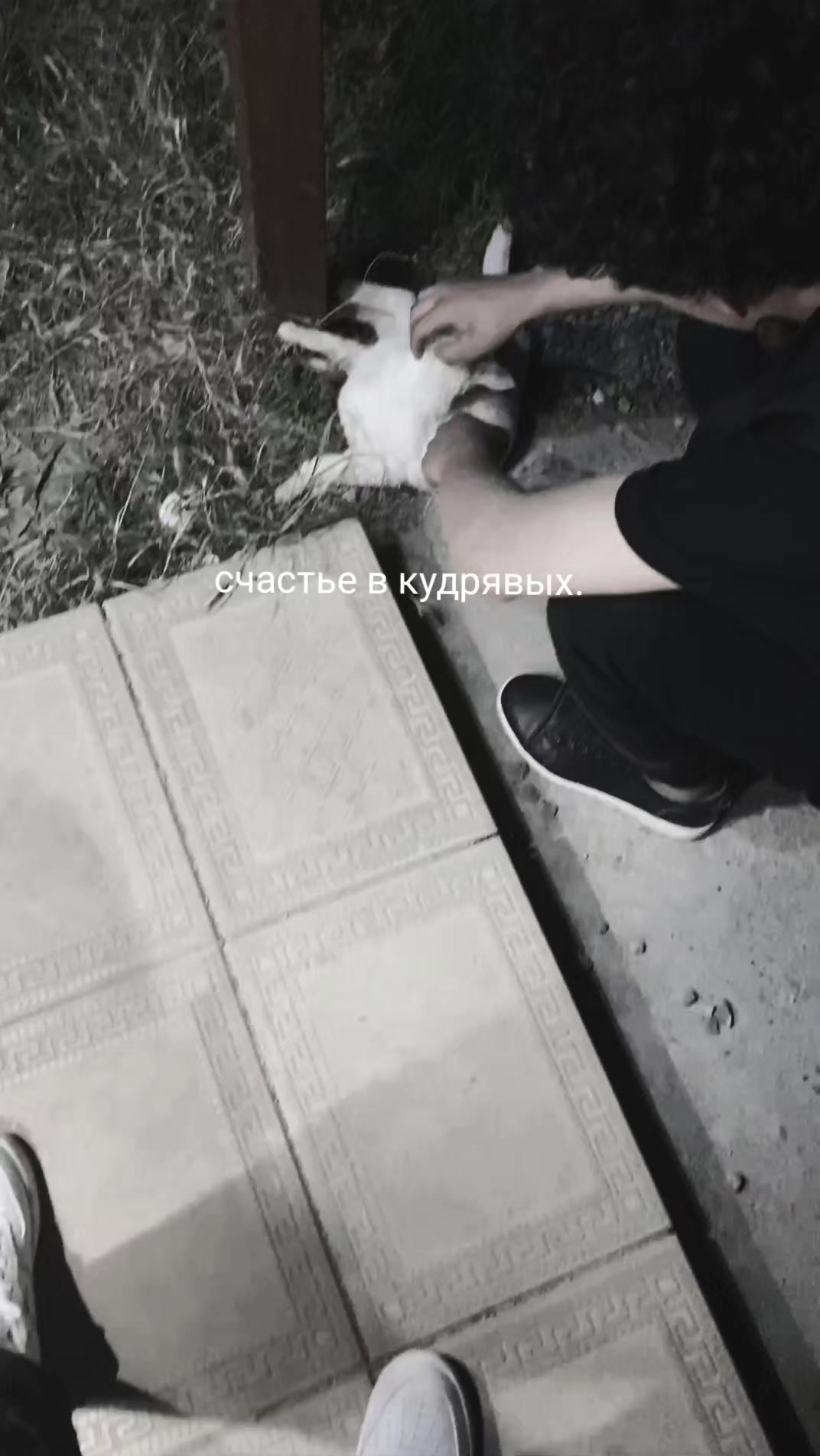 @#недляслабых