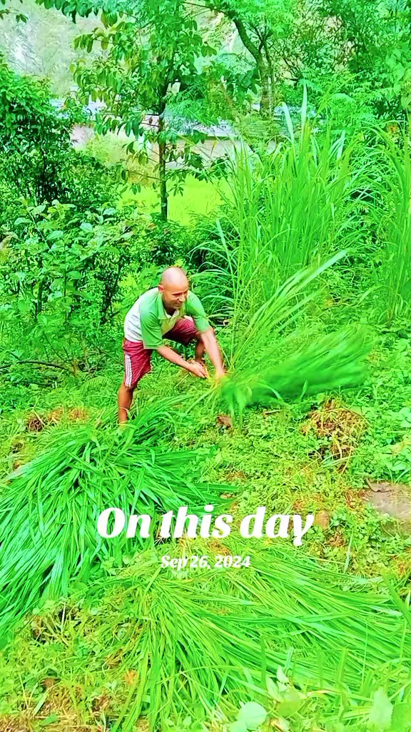 @Krishna Adhikari