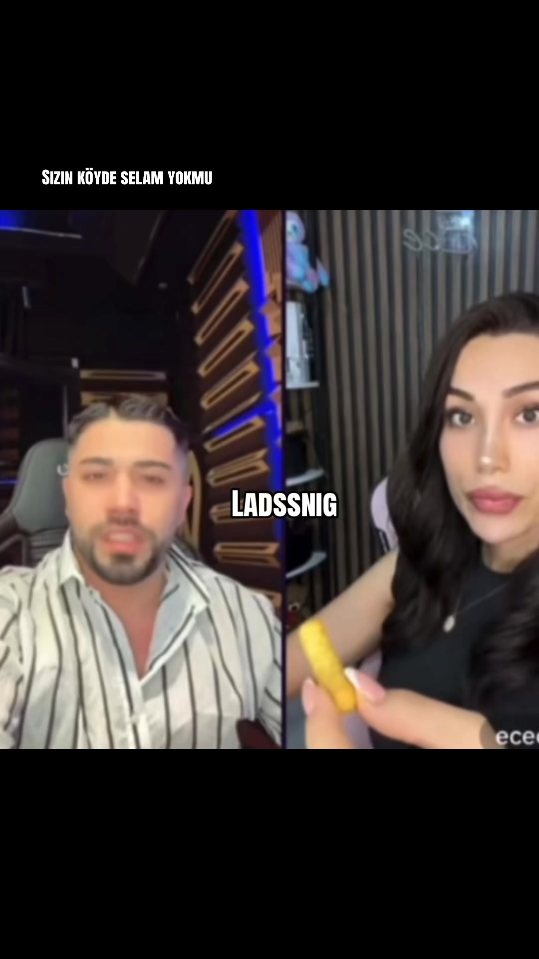 @ladssnig