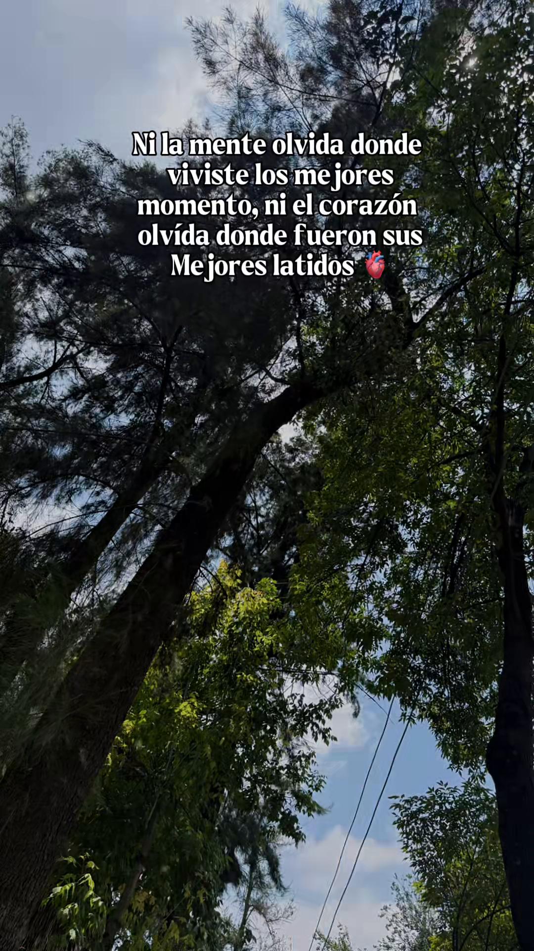 @Vane LC