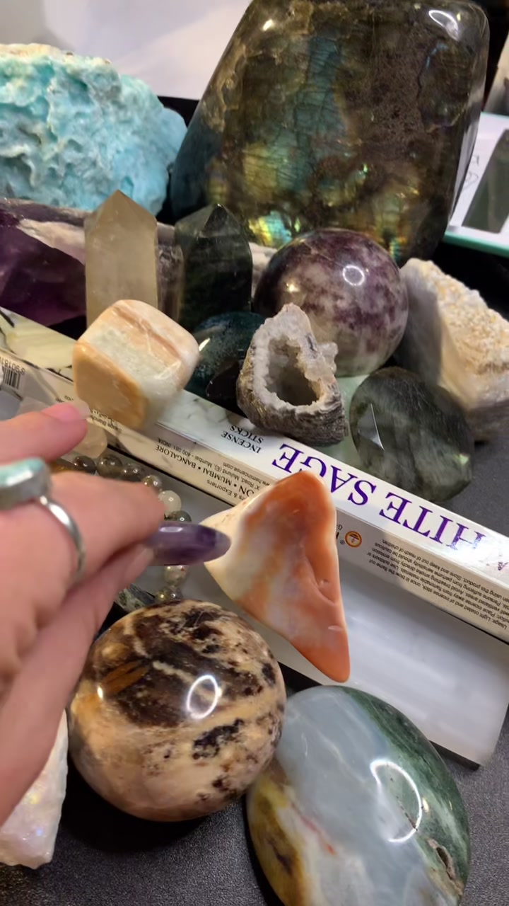 @Lacey J 🦂🧚🏻&zwj;♀️🧿