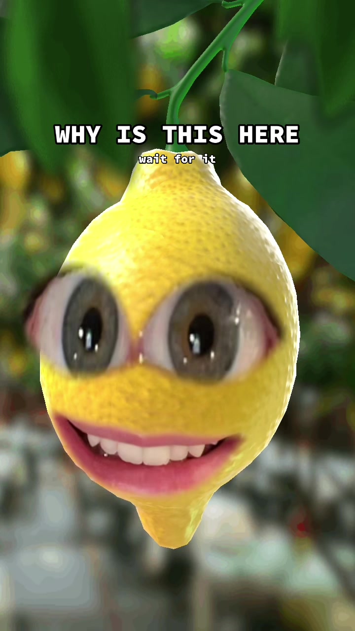 @talkinglemonrry