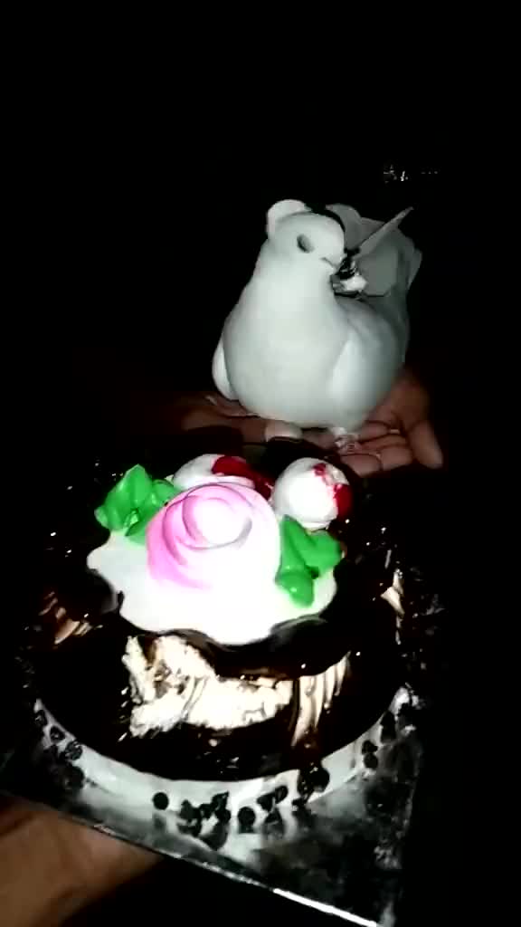 @user376385