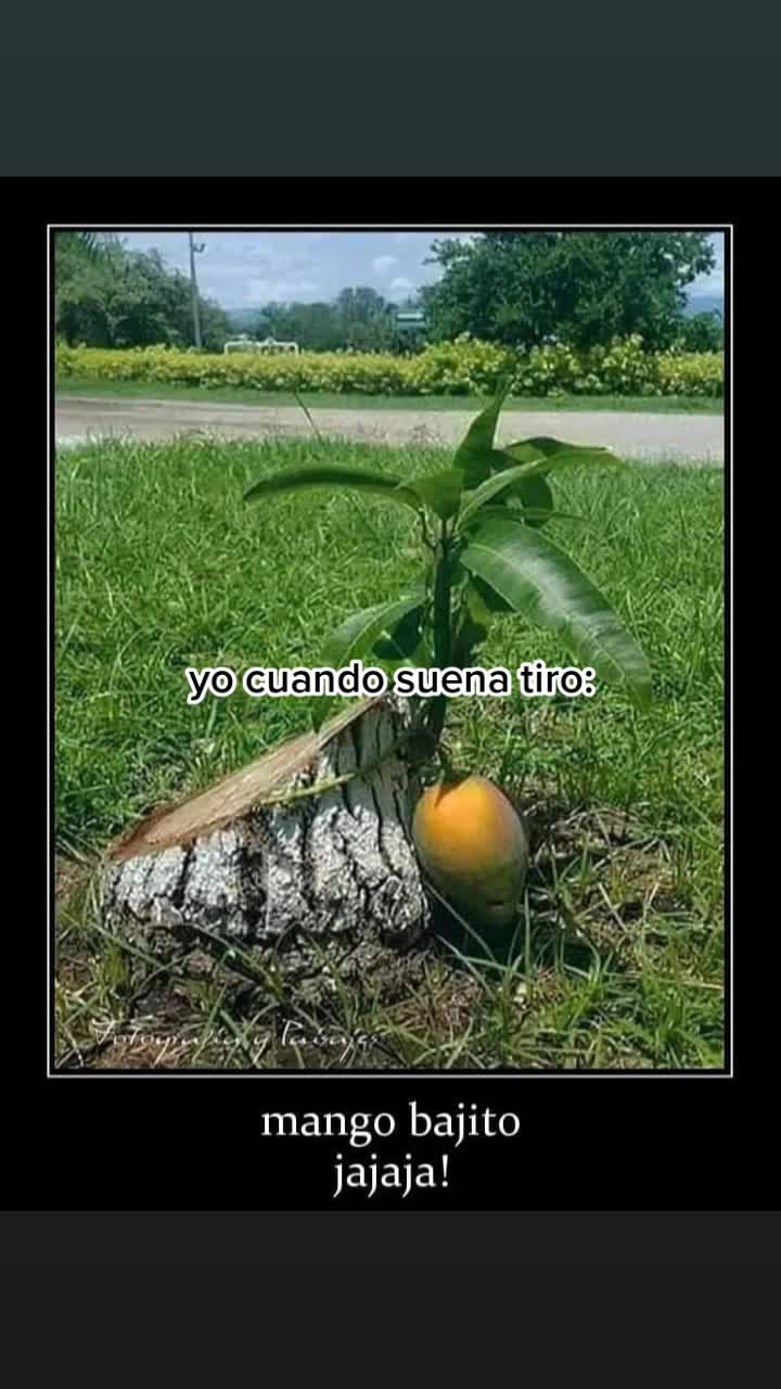 @David Ghersi