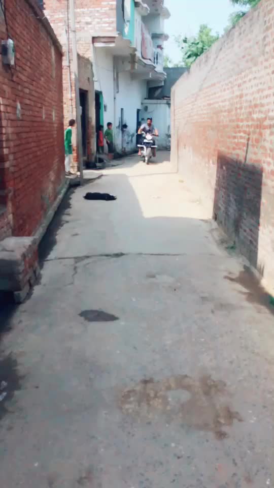 @Gulbhar Mirza