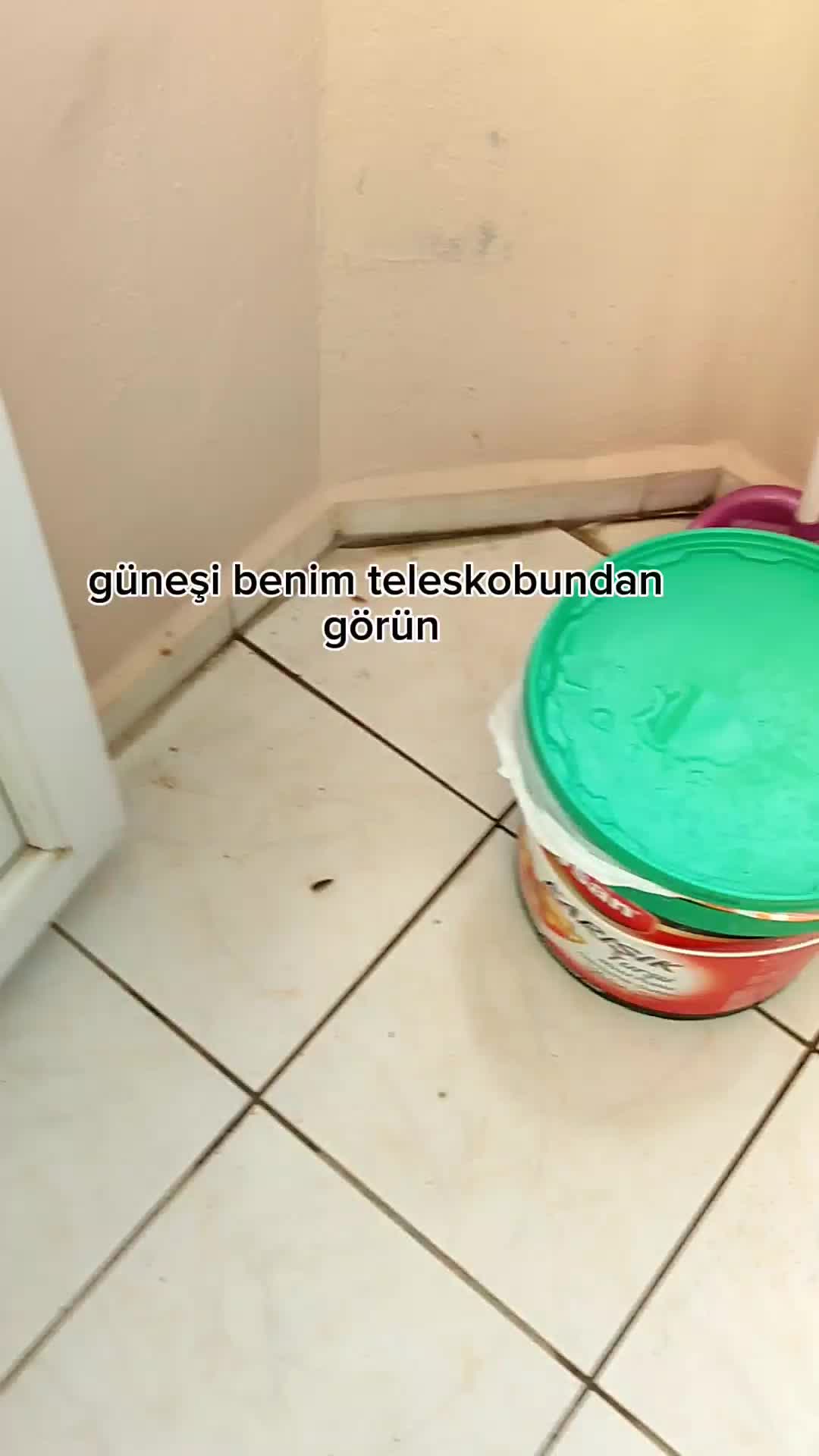 @Türk Bilimci 🔭🔬🌱