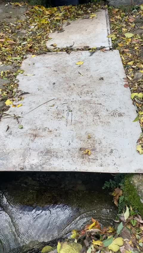 @🌼🍀