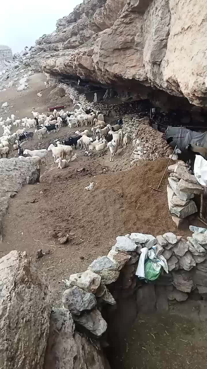 @جمال بالعباسي