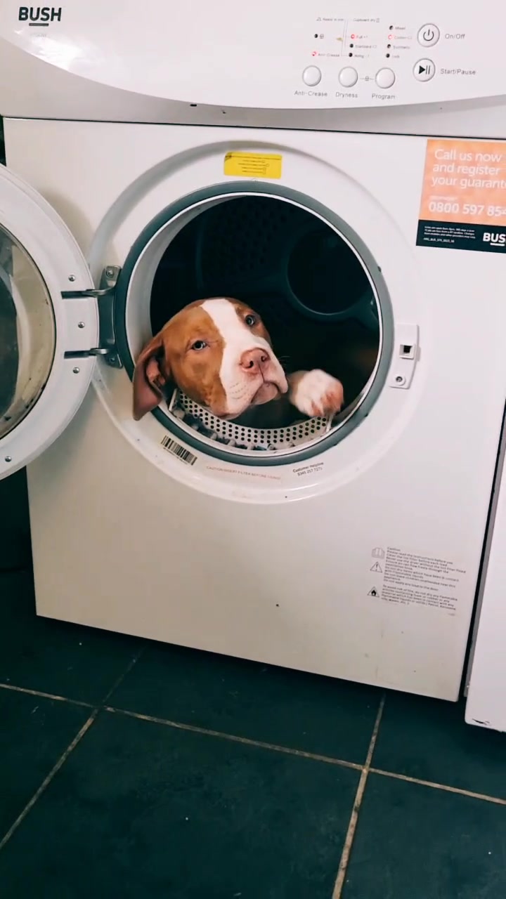 @RSKC