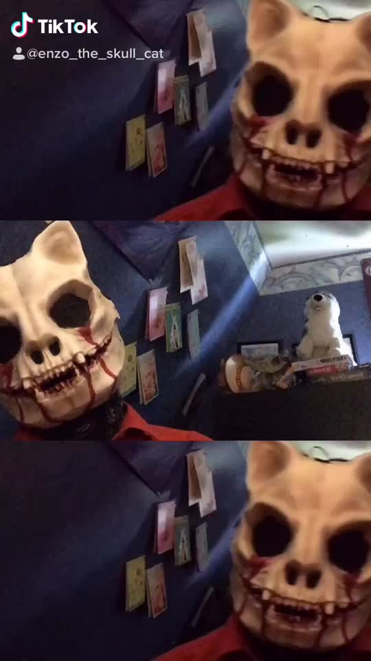 @Enzo