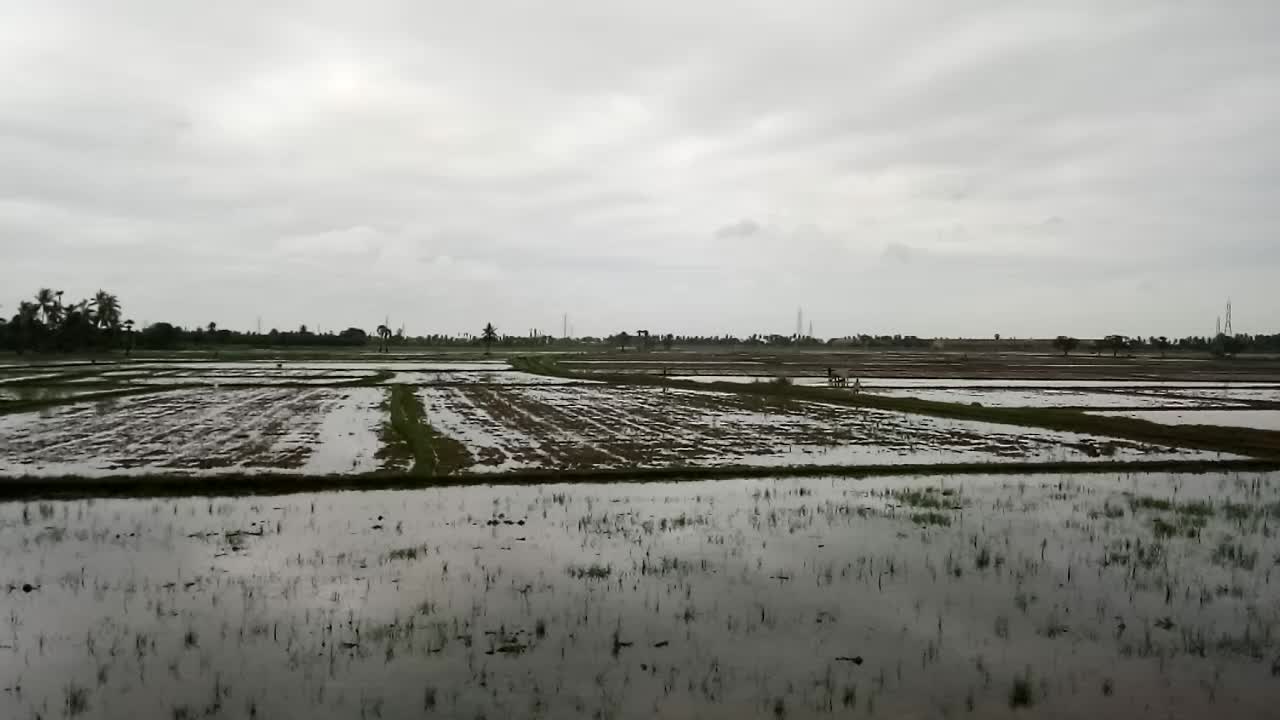 @k.s.n.swamy