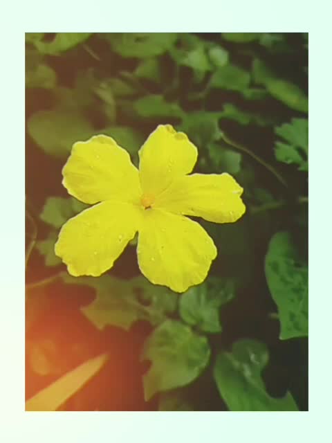 @Gangadhara Gangu S M