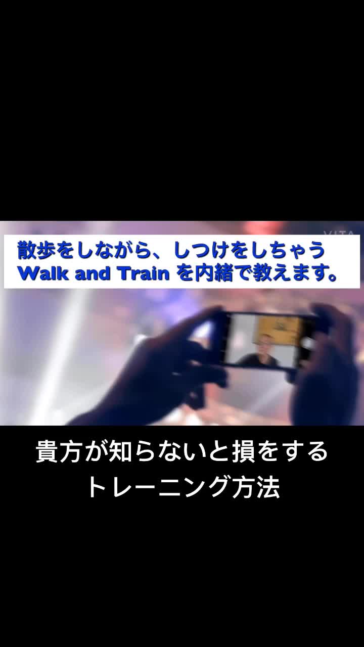 @Alex Tamaki