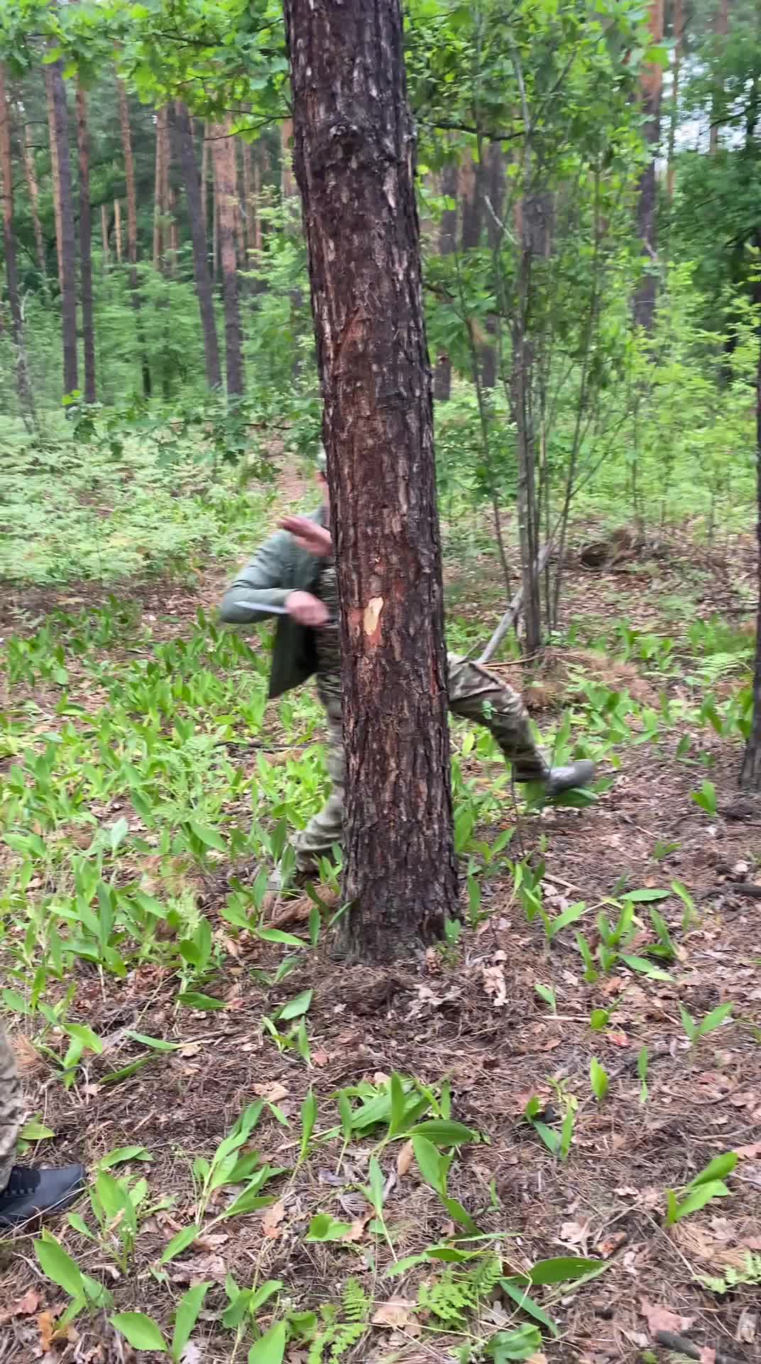 @Сергій Мікітен