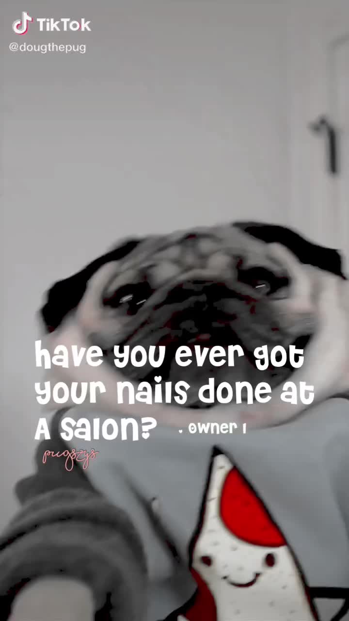 @Pugszys