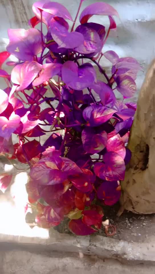 @Dharmendra