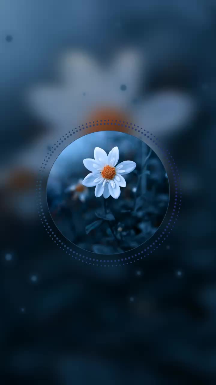 @🎧៣៩ɭ០ᖱƴ ¢០Ʀ⩎៩Ʀ🎧
