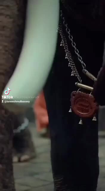 @Laneesh.mp