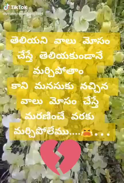 @Balaji N