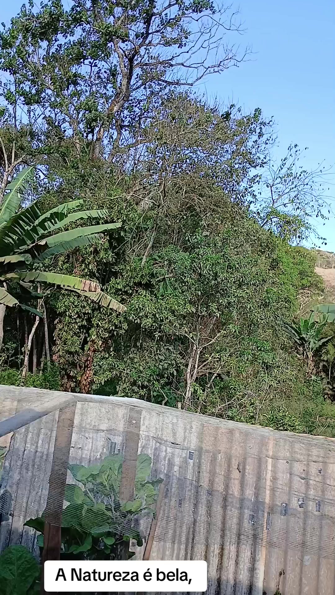 @nairtaciana