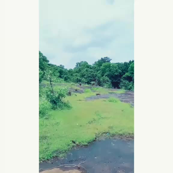 @💚sarathchandran👈👈
