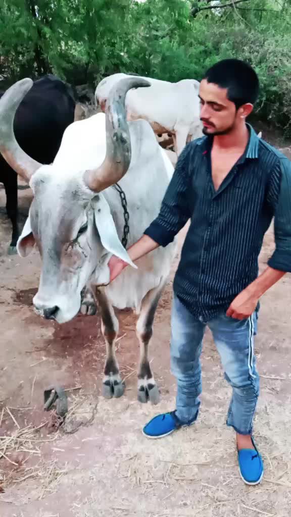 @Siku_Jogi_😎
