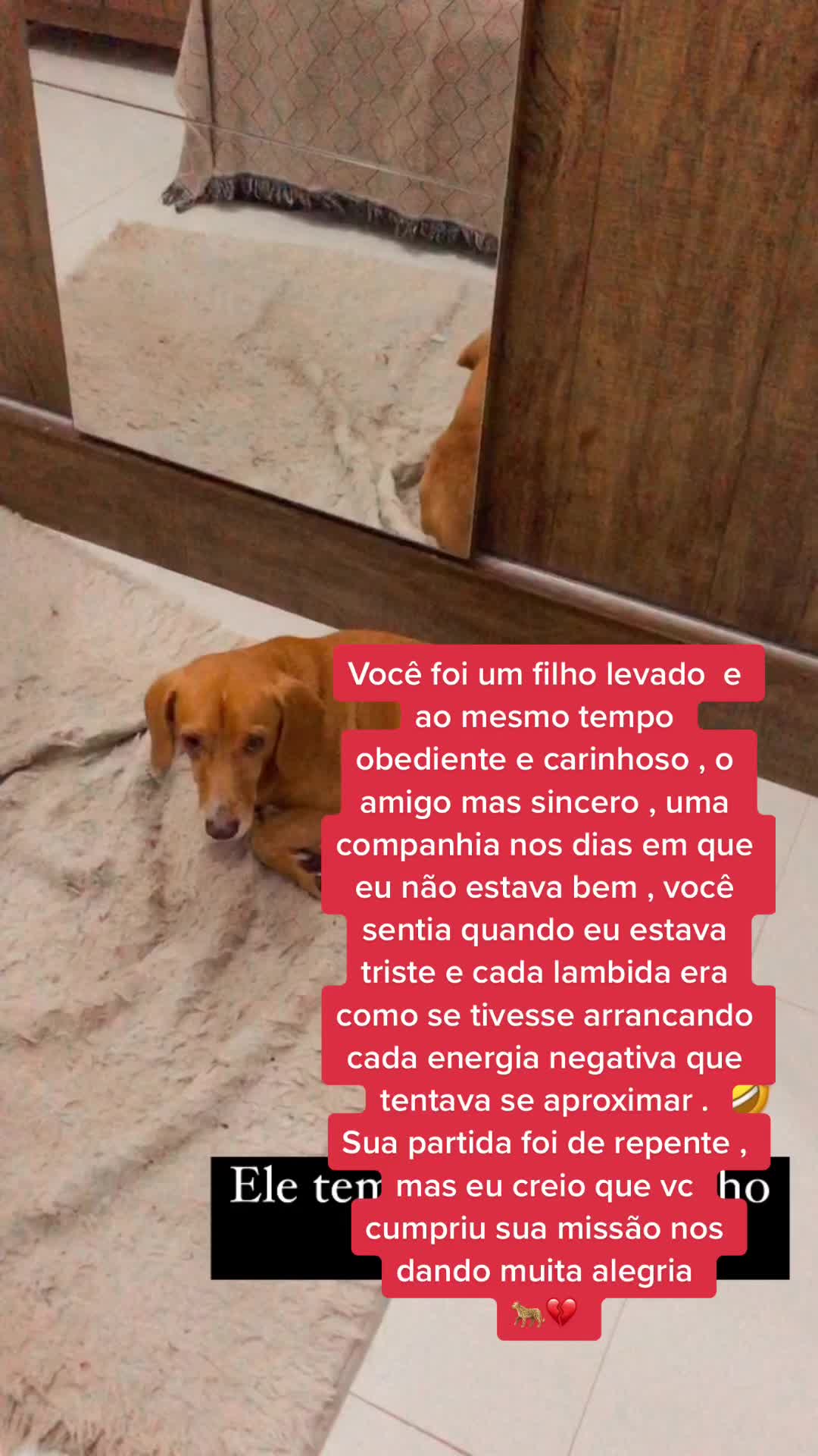 @@eucassinharibeiro