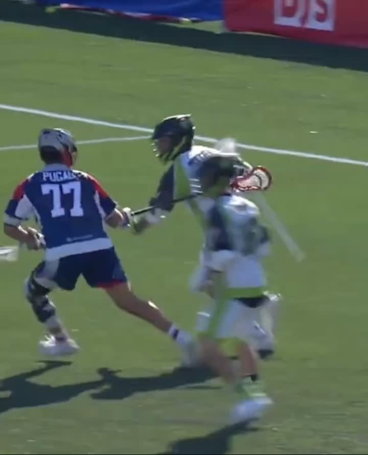 @nylizards